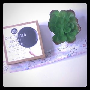 💰D.I.Y. Gender Reveal Balloon Kit